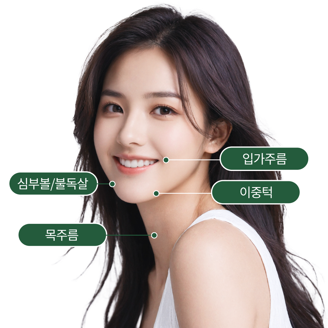 엘라스티꿈 모델 이미지