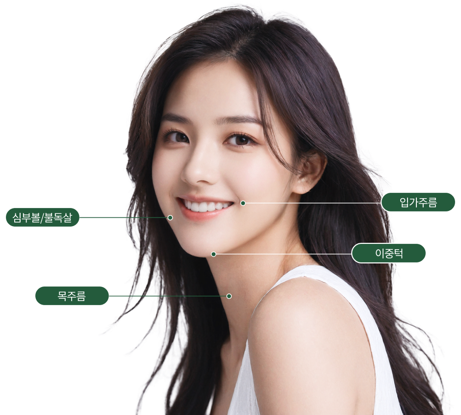 엘라스티꿈 모델 이미지