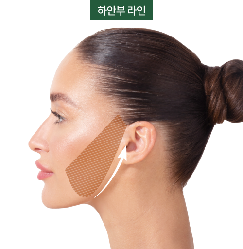 하안부 라인