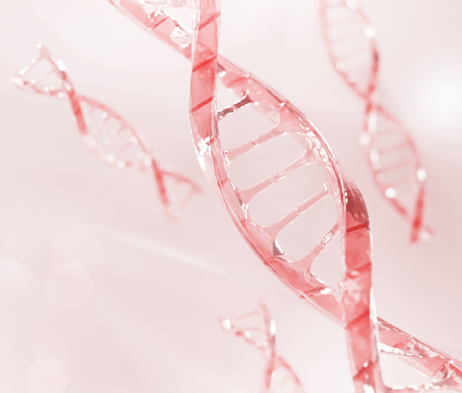 pink dna shape representing stem cell growth factors