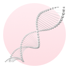 cells representing stem cell growth factors