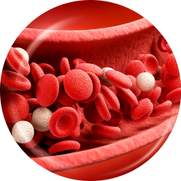 blood cells representing stem cell growth factors treating damaged areas