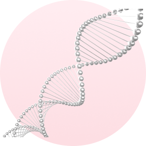 cells representing stem cell growth factors