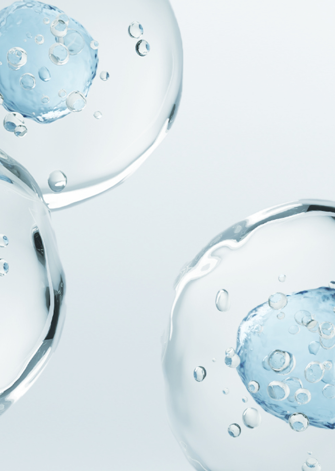 Microscopic image illustrating cellular regeneration for MCT MetaCell treatment