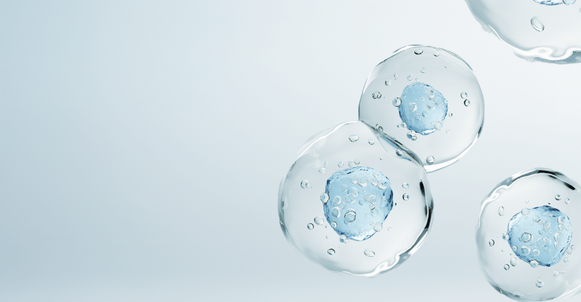 Microscopic image illustrating cellular regeneration for MCT MetaCell treatment